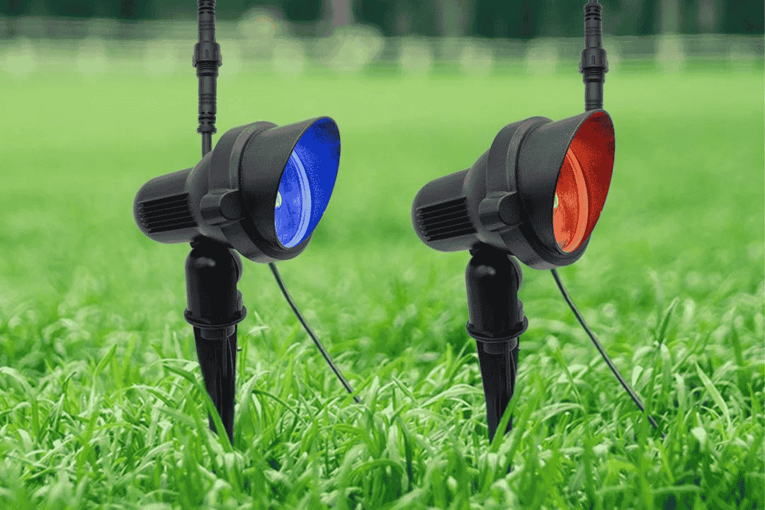 2-spot-lights-in-grass-red-and-blue